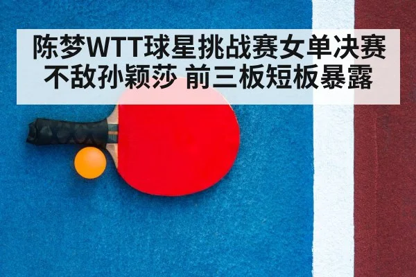 table tennis racket and ball